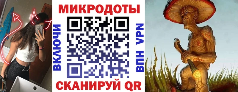 закладки  Таштагол  Псилоцибиновые грибы мицелий 